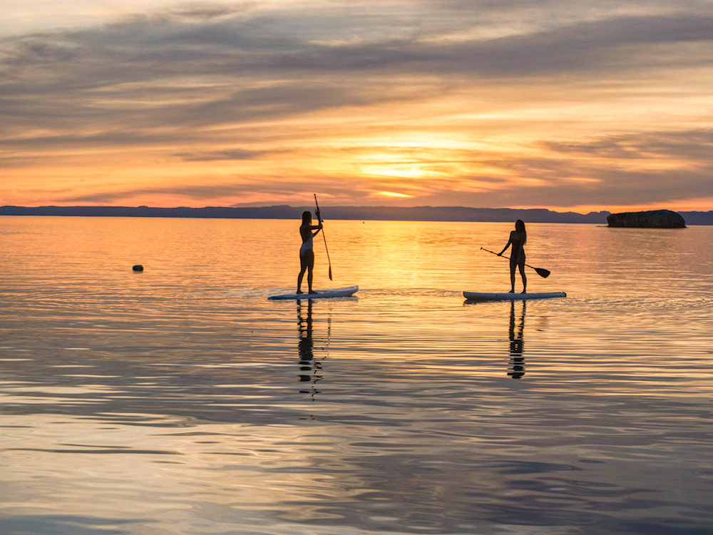 Whales in Baja waters Mexico